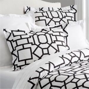 Pottery Barn Fillmore euro sham lot